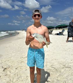 Permit fish caught in Florida
