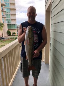 Redfish, 24 inches long, caught in FL