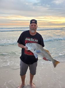 Redfish caught in FL, recreational fishing
