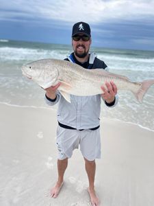 A single redfish caught in Pensacola