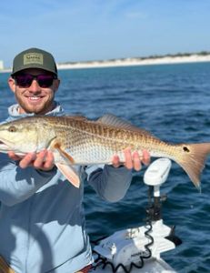 Angler with a huge redfish in FL