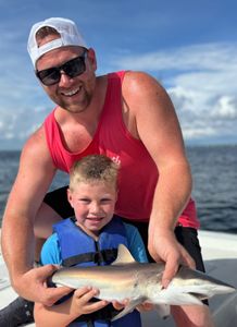 Angler holding an Atlantic Sharpnose Shark in FL