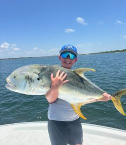 A Crevalle Jack fish caught while fishing in Panama City Beach