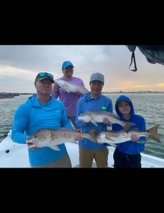 Four redfish, cutthroat trout, and other big fish caught while fishing in Panama City Beach