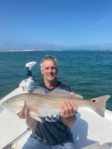 Redfish caught fishing in FL