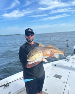 One redfish caught while fishing in FL