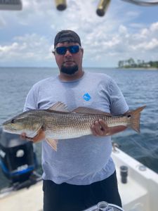 Redfish caught on fishing trip in Panama City Beach
