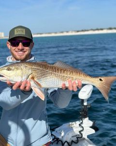 Redfish caught in Panama City Beach