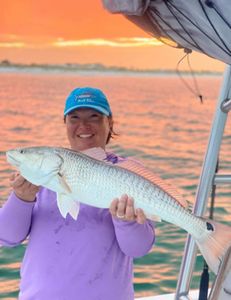 Redfish caught while fishing in Panama City Beach