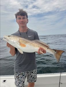 Redfish caught in Panama City Beach