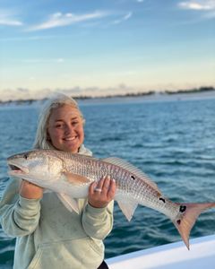 Redfish caught in Panama City Beach