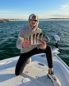 Sheepshead fish caught while fishing in Panama City Beach