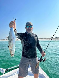 Angler holding a Spanish Mackerel fish in Panama City Beach