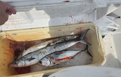 Two anglers fishing at Port Canaveral