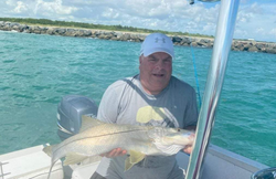 Snook fish caught while fishing in Florida