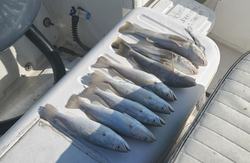 Two fishing rods in the water with a scenic background in Florida