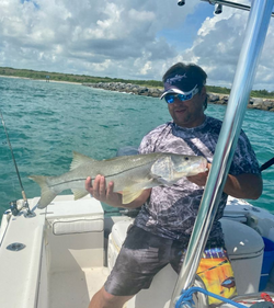 Snook fish caught while fishing in Florida
