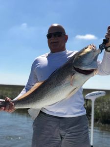 Inshore fishing for grey snapper