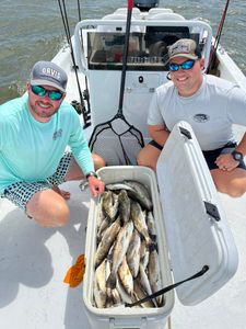 Two fishermen with a successful catch in Golden Meadow