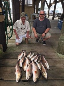 Three thrilling fish caught in Golden Meadow