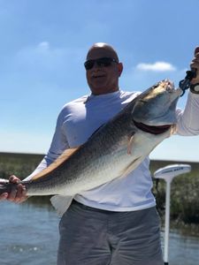 Redfish caught in Golden Meadow