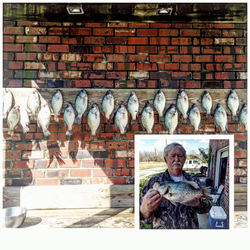 Angler fishing in LA with 18 fish caught