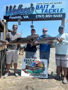 4 people fishing in VA