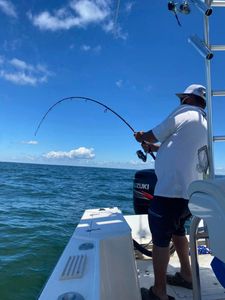 Captain Wayne knows where the big ones