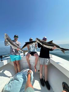 Two cobia fish caught in Hampton, Virginia