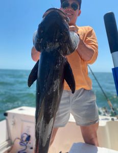 Angler with a big fish catch in Hampton