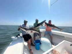 Two cobia fish caught during a fishing trip in Hampton