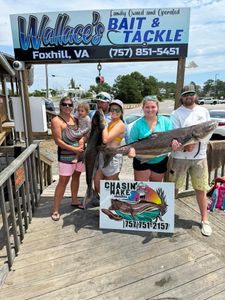 Two cobia fish caught in Hampton, Virginia