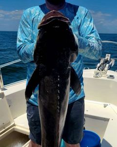 Anglers fishing in VA