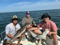 2 king mackerel, 23 inches, fishing in Hampton