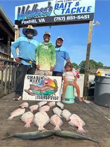 3 ladyfish caught while fishing in VA