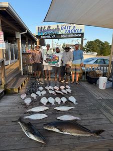 Two Cobia fish caught by five people fishing in Hampton
