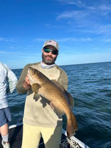 Explore Florida's Best Fishing
