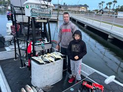 Successful Fishing Reels In Florida