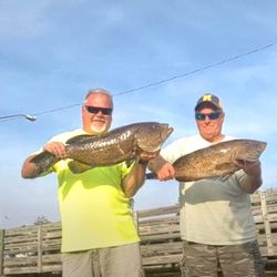 Two people fishing with two big fish in Florida