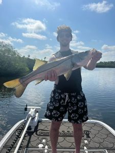 Snook fish caught while fishing in FL