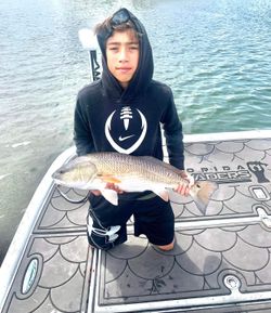 Redfish caught while fishing in Hudson FL displayed on boat deck