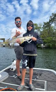 Snook fishing in Hudson