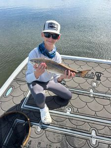 A single fishing catch in Florida