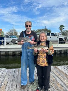 Two spotted weakfish and black drum fish caught while fishing in Florida