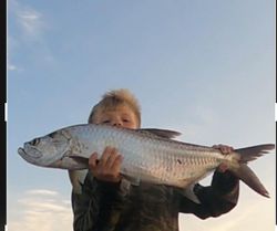 Tarpon fishing in Hudson