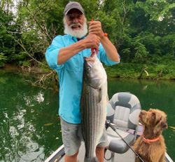 Cumberland River Striper Fishing