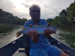 Fishing For Beginners