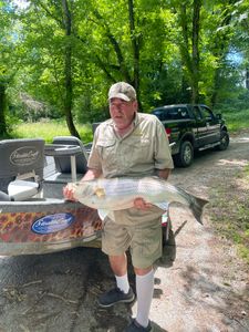 One angler fishing in KY
