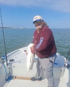 Lone angler fishing in TX