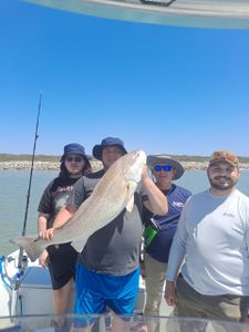 4 people fishing in TX with a 31-inch fish